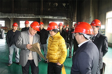 2012年1月31日，，，时任嘉兴市委书记鲁俊率领市发改委等市级部分认真人到公司调研