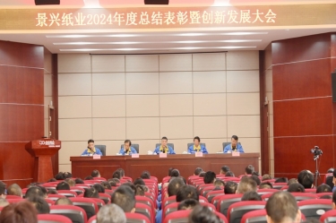 乘风破浪 逐梦前行 | 门徒娱乐纸业2024年度总结表扬暨立异生长大会盛大召开