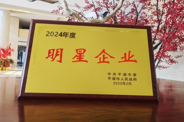 新春新景新气象 | 门徒娱乐纸业在平湖三干大会上喜摘声誉！